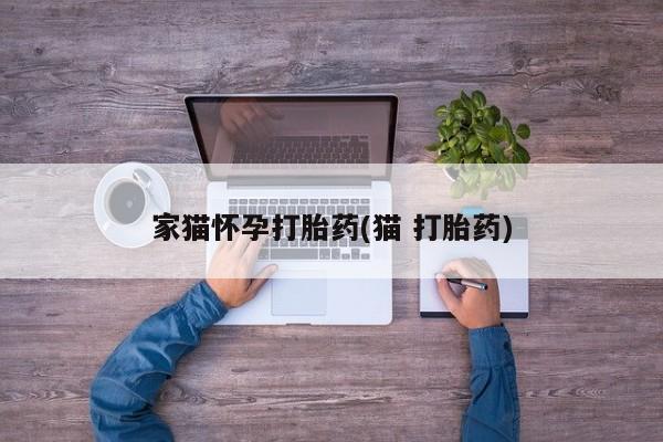米非司酮打胎药官网家猫怀孕打胎药(猫 打胎药)